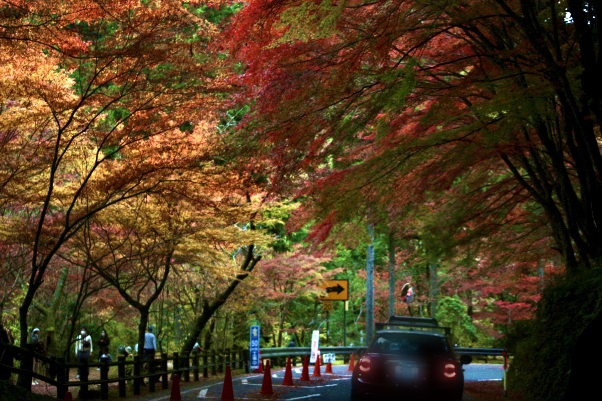 奥津渓,紅葉,ドライブ