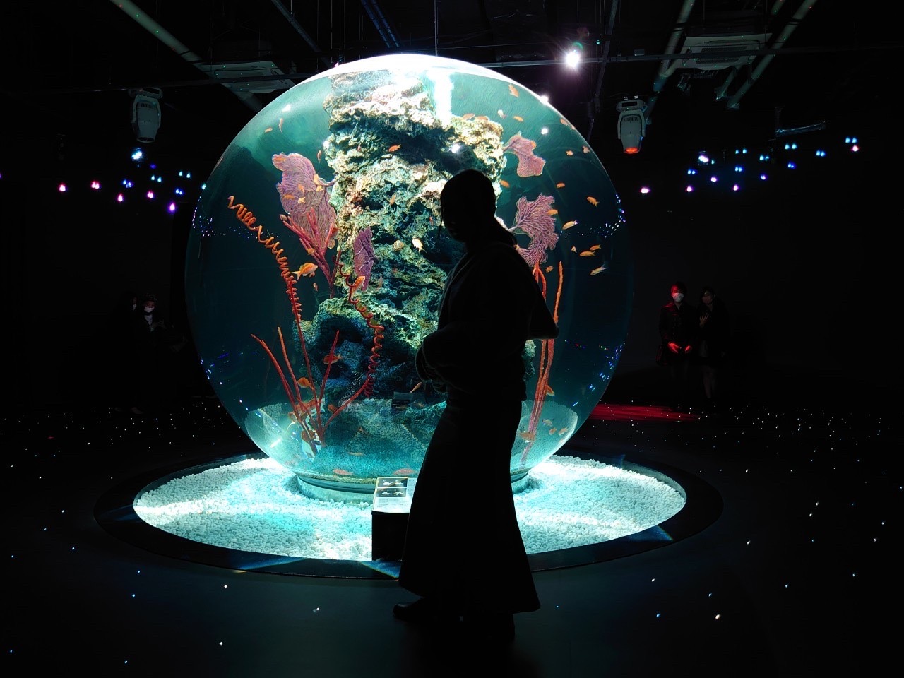 Aquarium Art 神戸の最新インスタ映えスポットご紹介 Atoa ゆとりまいんどブログ